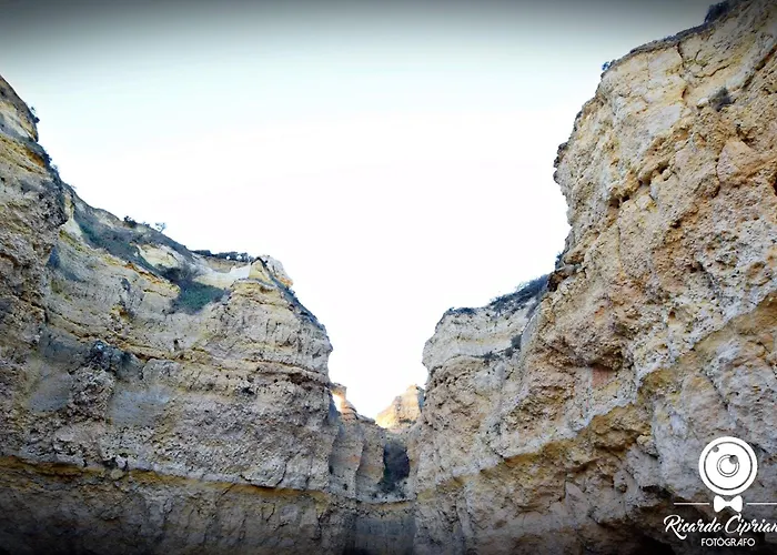 아파트 Casa Alfarroba 알부페이라